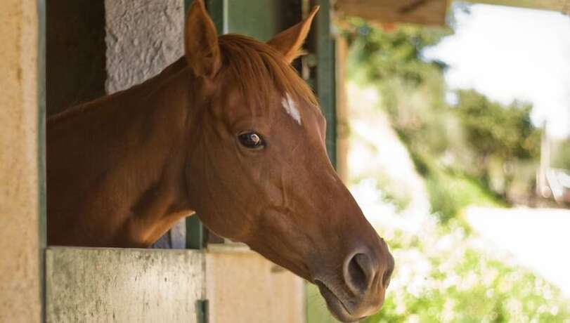 Imagen general del Hotel Tenuta di Roccadia. Foto 4
