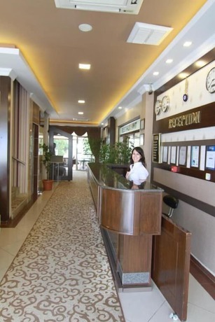 Imagen de los interiores del Hotel Teona, Izmit. Foto 19