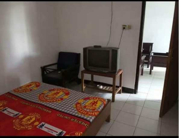 Imagen de la habitación del Hotel Teratai Putih. Foto 5