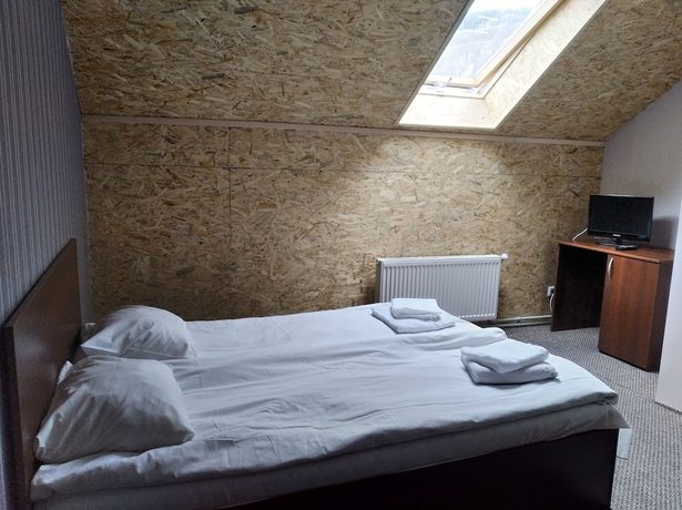 Imagen de la habitación del Hotel Terem. Foto 6