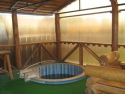 Imagen de la piscina del Hotel Terema. Foto 9