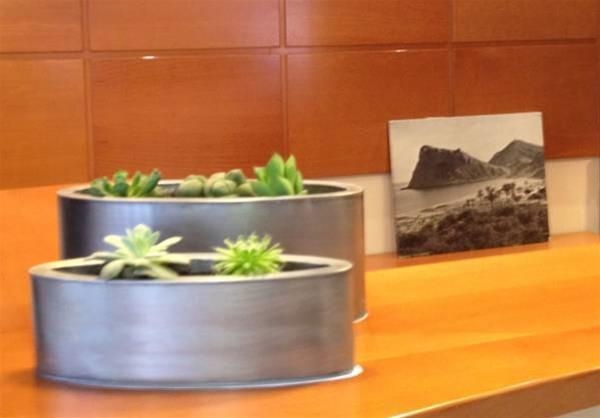 Imagen general del Hotel Teremar. Foto 4