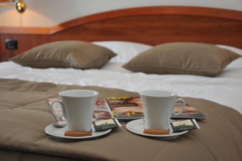 Imagen de la habitación del Hotel Terex. Foto 5