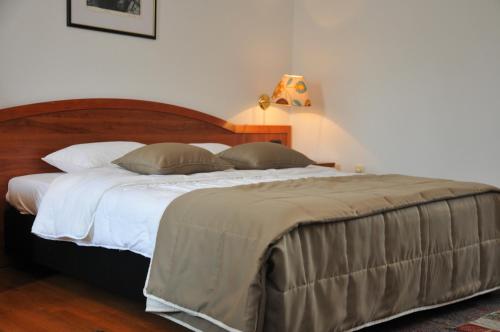 Imagen de la habitación del Hotel Terex. Foto 7