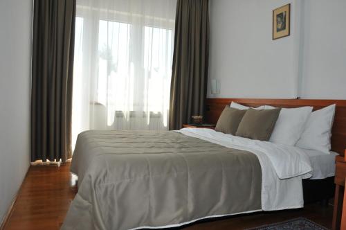 Imagen de la habitación del Hotel Terex. Foto 8
