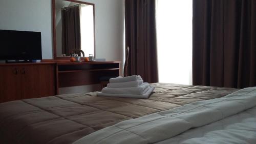 Imagen de la habitación del Hotel Terex. Foto 10