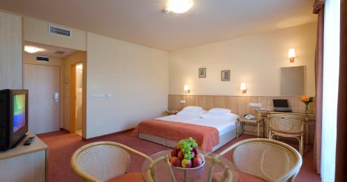 Imagen de la habitación del Hotel Term&aacute;lhotel Martfű. Foto 6