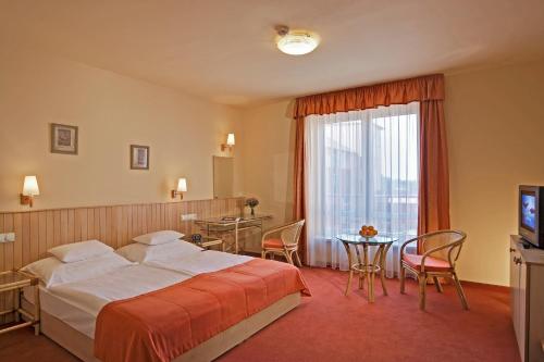 Imagen de la habitación del Hotel Term&aacute;lhotel Martfű. Foto 7
