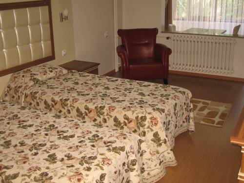 Imagen de la habitación del Hotel Termal Elit. Foto 1