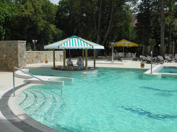 Imagen de la piscina del Hotel Termal. Foto 11