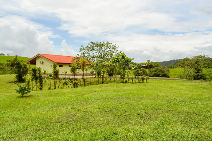 Imagen de los exteriores del Hotel Termales Del Bosque and Hot Springs. Foto 13