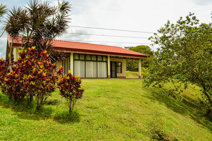 Imagen de la habitación del Hotel Termales Del Bosque and Hot Springs. Foto 11