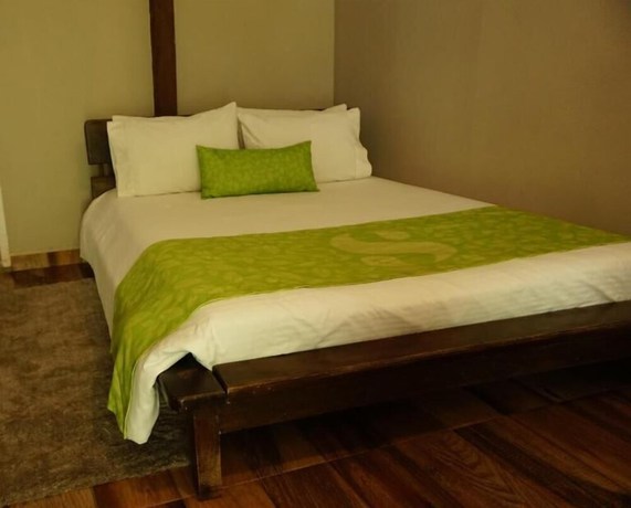 Imagen de la habitación del Hotel Termales San Vicente. Foto 16