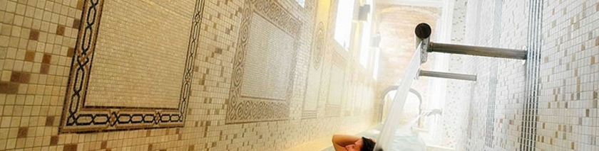 Imagen de la piscina del Hotel Termas - Balneario Termas Pallarés. Foto 15