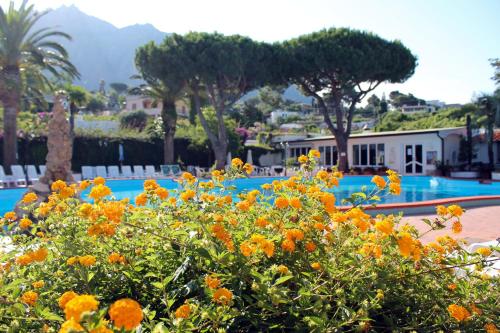 Imagen general del Hotel Terme Park Imperial. Foto 5