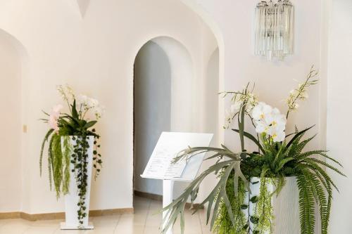 Imagen general del Hotel Terme Park Imperial. Foto 12