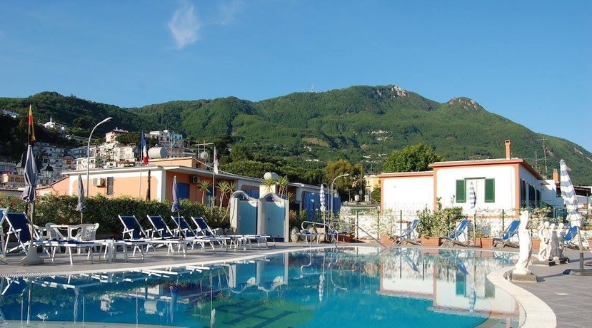 Imagen de la piscina del Hotel Terme Rosaleo. Foto 18