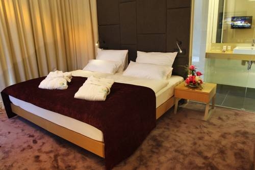 Imagen general del Hotel Terme Tuhelj hotel Well. Foto 9