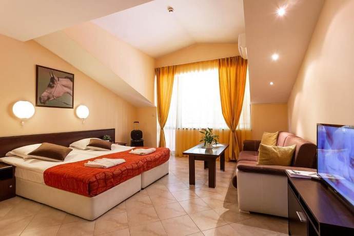 Imagen de la habitación del Hotel Termo Aspa Vila. Foto 13