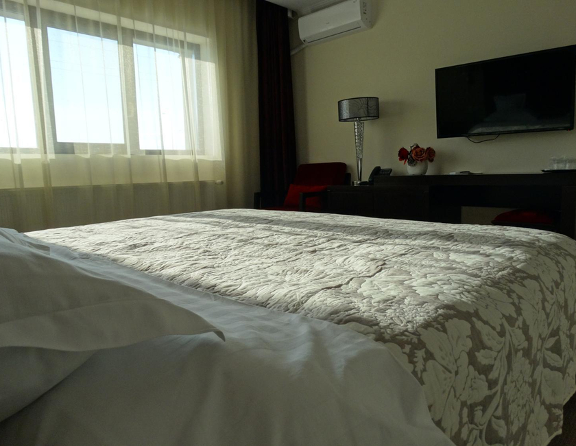 Imagen general del Hotel Terra Iasi. Foto 24