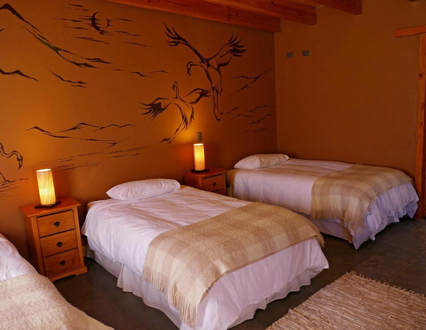 Imagen general del Hotel Terra Luna Atacama. Foto 7