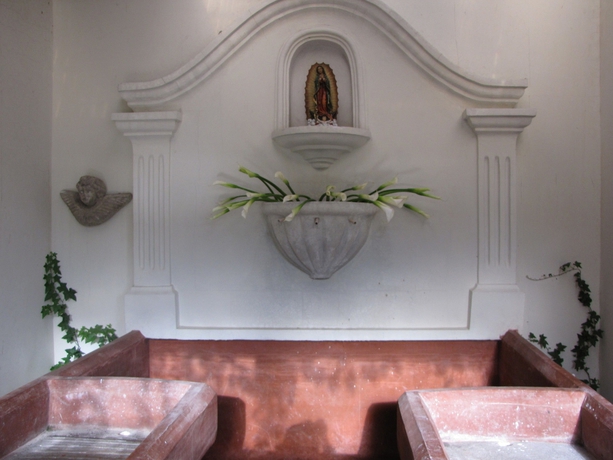 Imagen de los interiores del Hotel Terra Maya Guest House. Foto 13