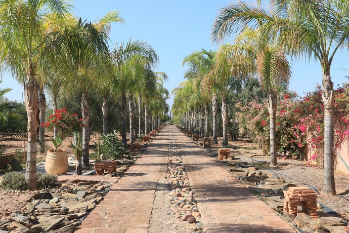 Imagen de los exteriores del Hotel Terra Mia Marrakech - Riad. Foto 12