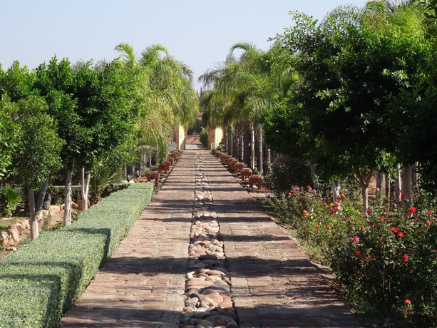 Imagen general del Hotel Terra Mia Marrakech - Riad. Foto 3