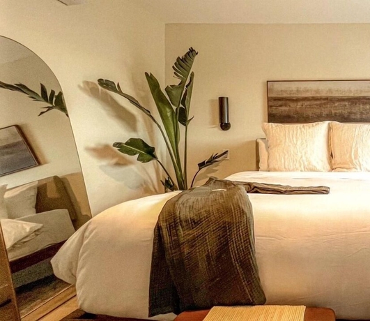 Imagen de la habitación del Hotel Terra Palm Springs. Foto 2
