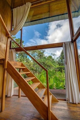 Imagen de la habitación del Hotel Terrabambu Lodge. Foto 19