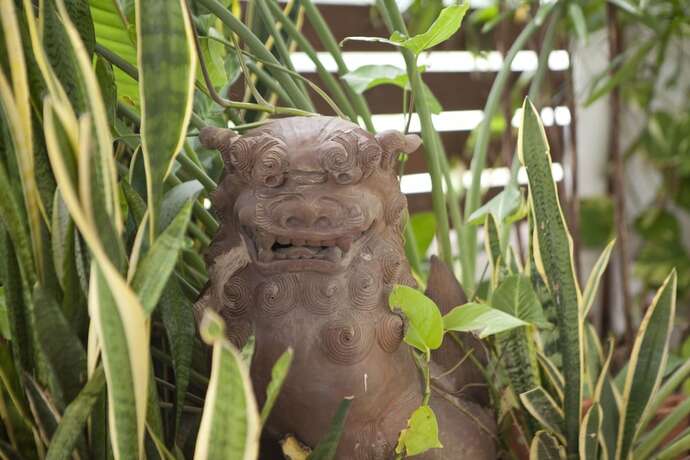 Imagen de la habitación del Hotel Terrace Garden Mihama Resort. Foto 38