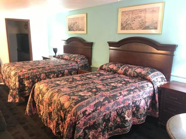 Imagen de la habitación del Hotel Terrace Motel, Oak Forest. Foto 16