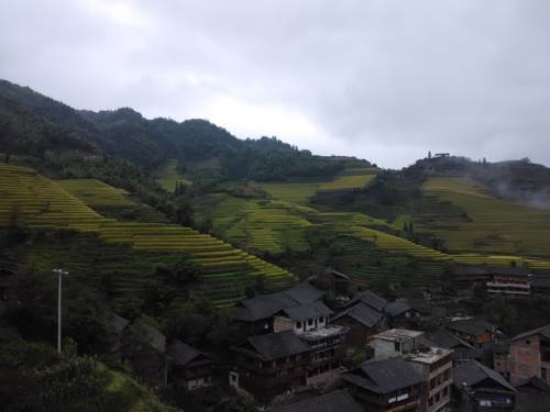 Imagen de la habitación del Hotel Terrace Villa. Foto 6