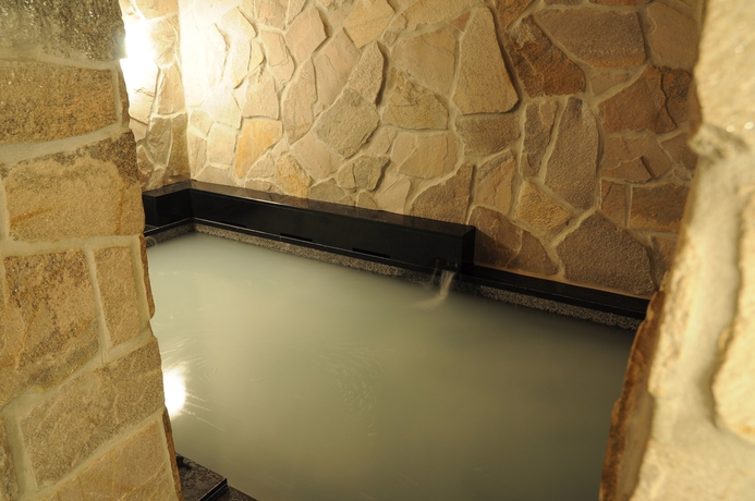 Imagen de la piscina del Hotel Terrace Yokohama. Foto 16