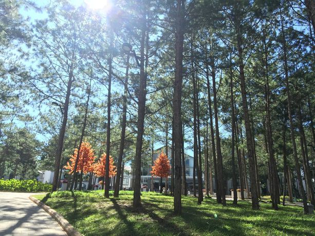 Imagen de los interiores del Hotel Terracotta and Resort Dalat. Foto 14