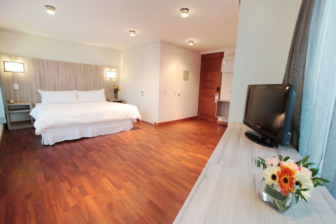 Imagen de la habitación del Hotel Terrado Lyon. Foto 10