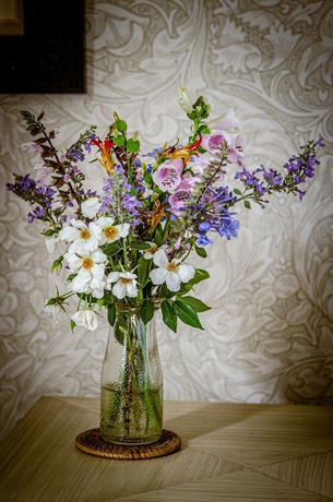 Imagen de la habitación del Hotel Terragong 1858. Foto 11