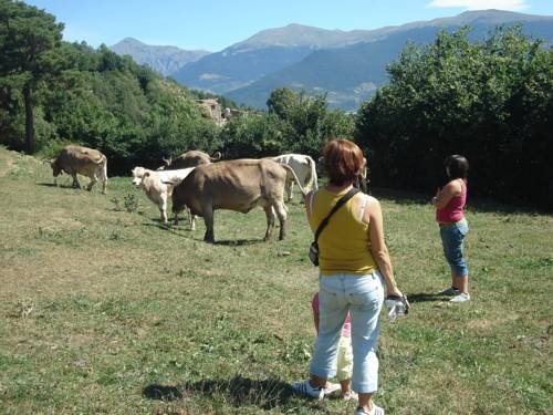 Imagen general del Hotel Terralta, Campelles. Foto 9