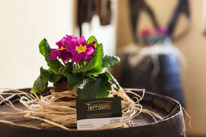 Imagen de los interiores del Hotel Terrasini 2000 - Case Vacanze. Foto 8