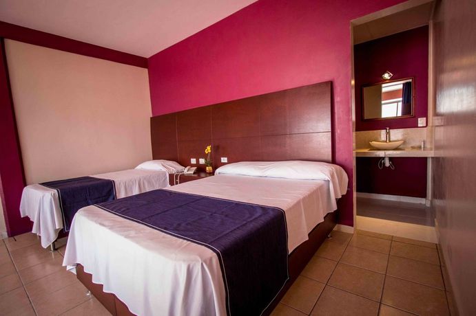 Imagen de la habitación del Hotel Terraza San Pedrito. Foto 10