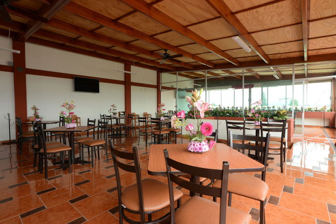 Imagen de la habitación del Hotel Terraza San Pedrito. Foto 11