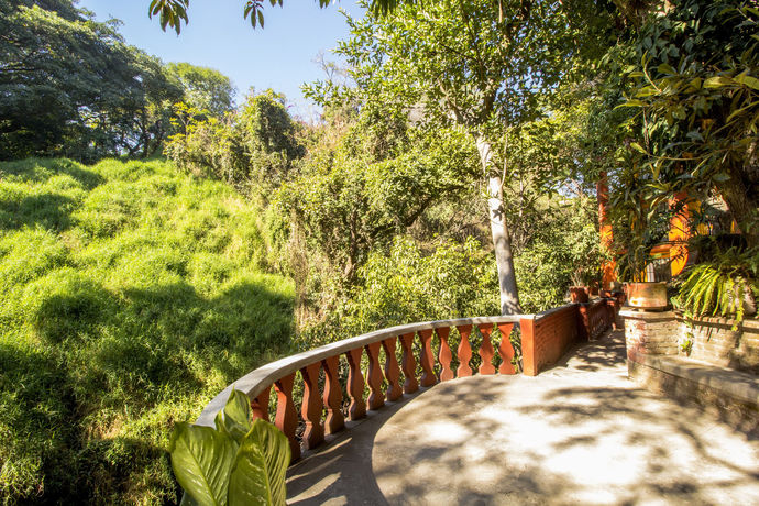 Imagen de los interiores del Hotel Terraza Tamayo. Foto 15