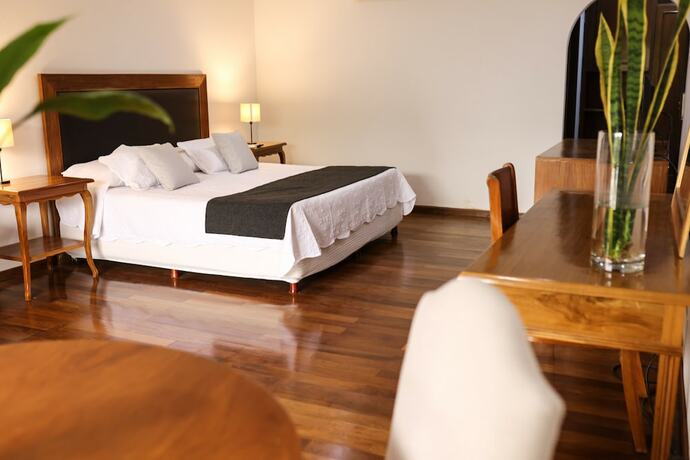 Imagen de la habitación del Hotel Terrazas Vista Verde. Foto 16