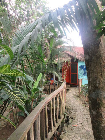 Imagen de la habitación del Hotel Tesoro Escondido Lodge and Cabins. Foto 12