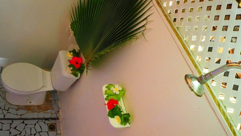 Imagen general del Hotel Tetamanu Village. Foto 4