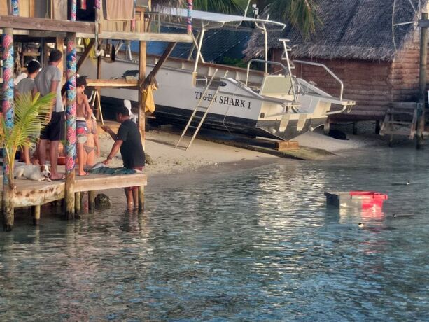 Imagen general del Hotel Tetamanu Village. Foto 12