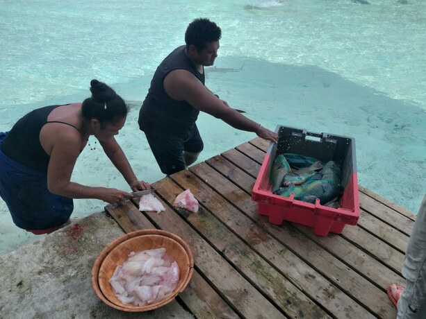 Imagen general del Hotel Tetamanu Village. Foto 14