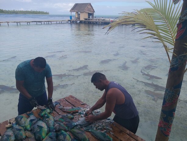 Imagen general del Hotel Tetamanu Village. Foto 15