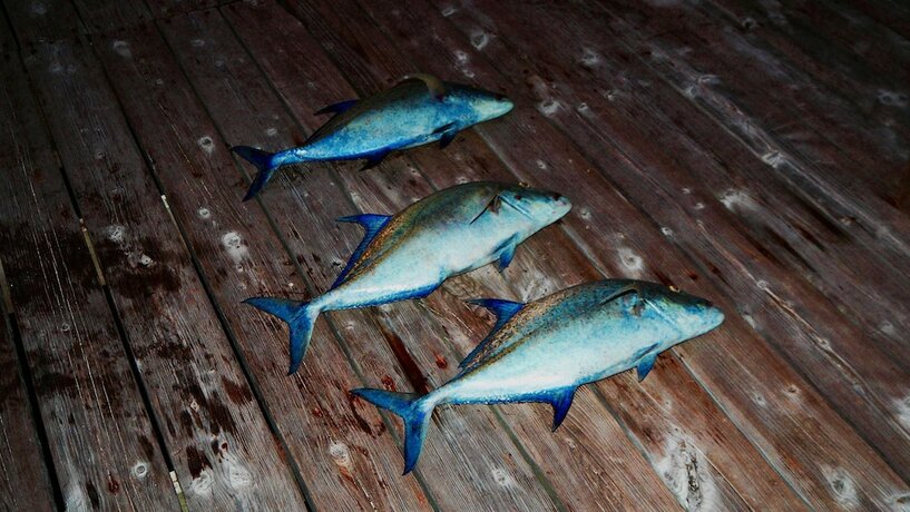 Imagen general del Hotel Tetamanu Village. Foto 18