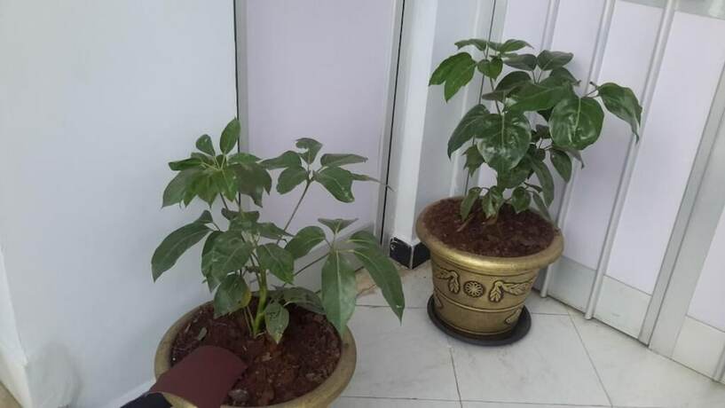 Imagen general del Hotel Tetema Guest House. Foto 19